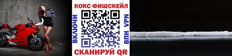 COCAIN Fish Scale  Купить где  Вилючинск 