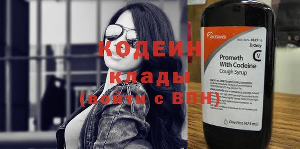 стаф Инта