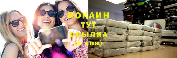 стаф Инта