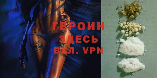 стаф Инта
