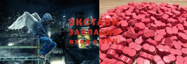 стаф Инта