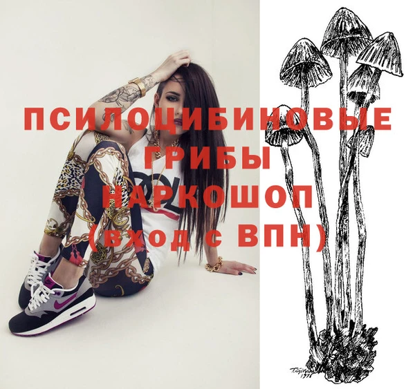 тгк Зерноград